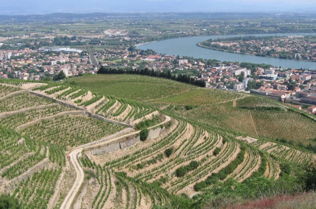 SEO Cocoon vous des slogans et posts inspirants, qui vont attirer des touristes par internet